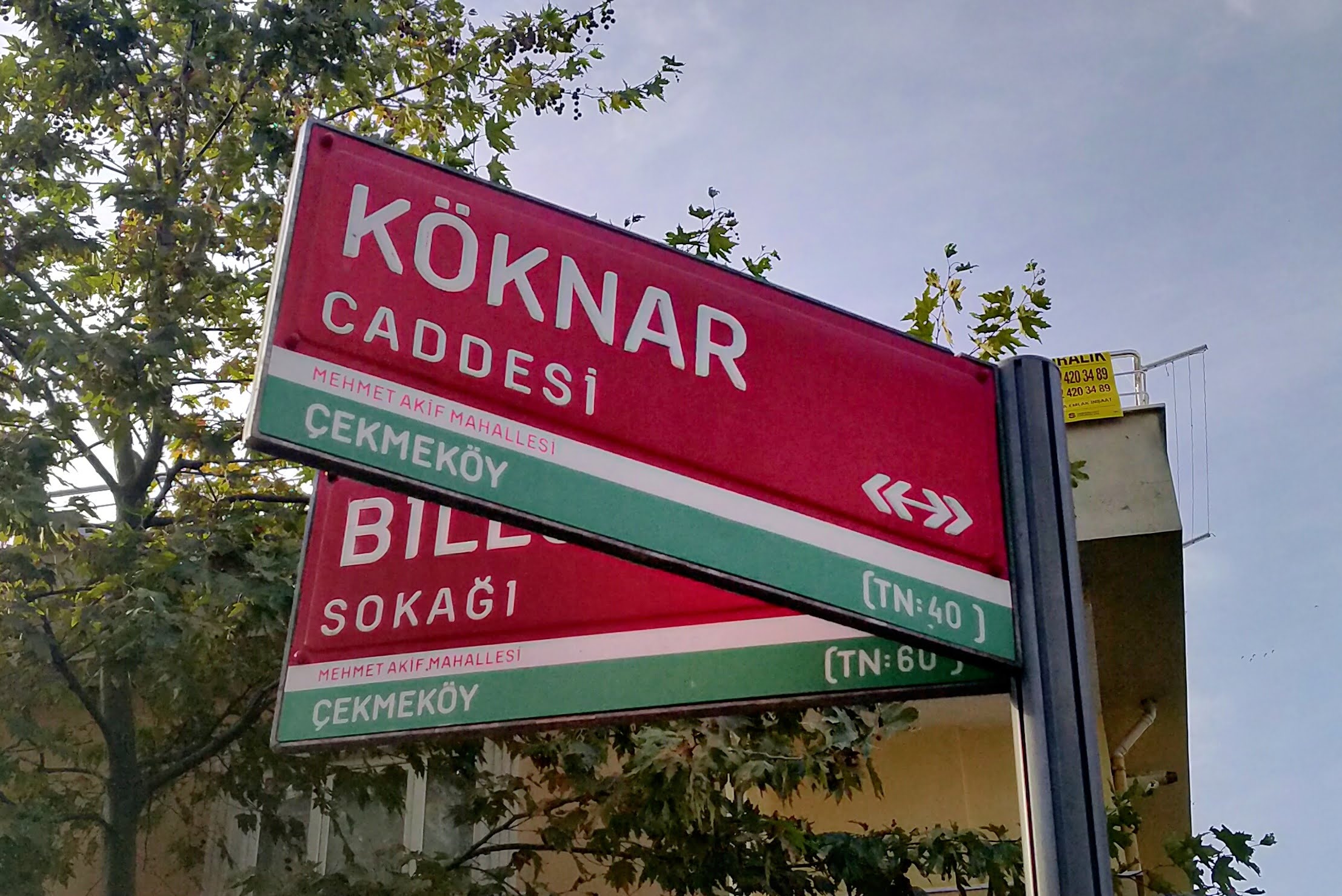 A post with two signs on it, one partially covering the other. The signs
are colored red with a thin white strip, then a thick green strip at the
bottom.
The front one says:
KÖKNAR CADDESİ ↞↠, [on white strip] MEHMET AKİF MAHALLESİ, [on green
strip] ÇEKMEKÖY (TN:40 ).
The one behind says:
BİL... SOKAĞI, [on white strip] MEHMET AKİF MAHALLESİ, [on green strip]
ÇEKMEKÖY (TN:60 )
